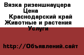 Вязка ризеншнауцера . › Цена ­ 3 000 - Краснодарский край Животные и растения » Услуги   